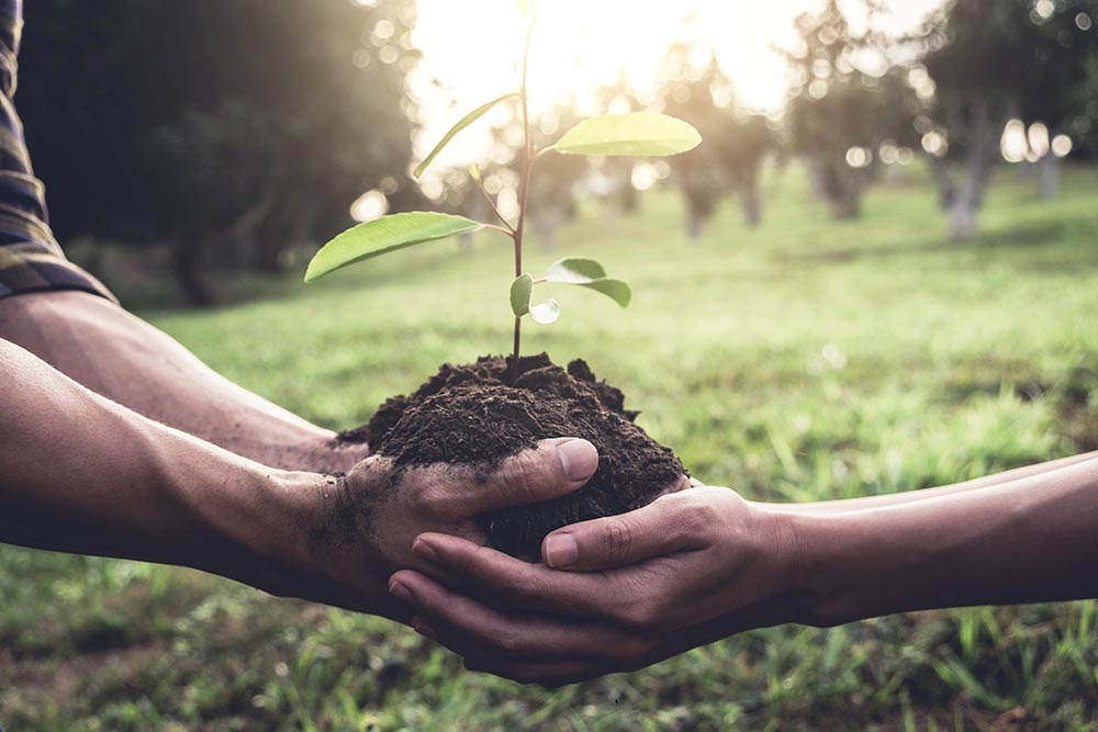 Growing together - Polished London proudly partners with Ecologi