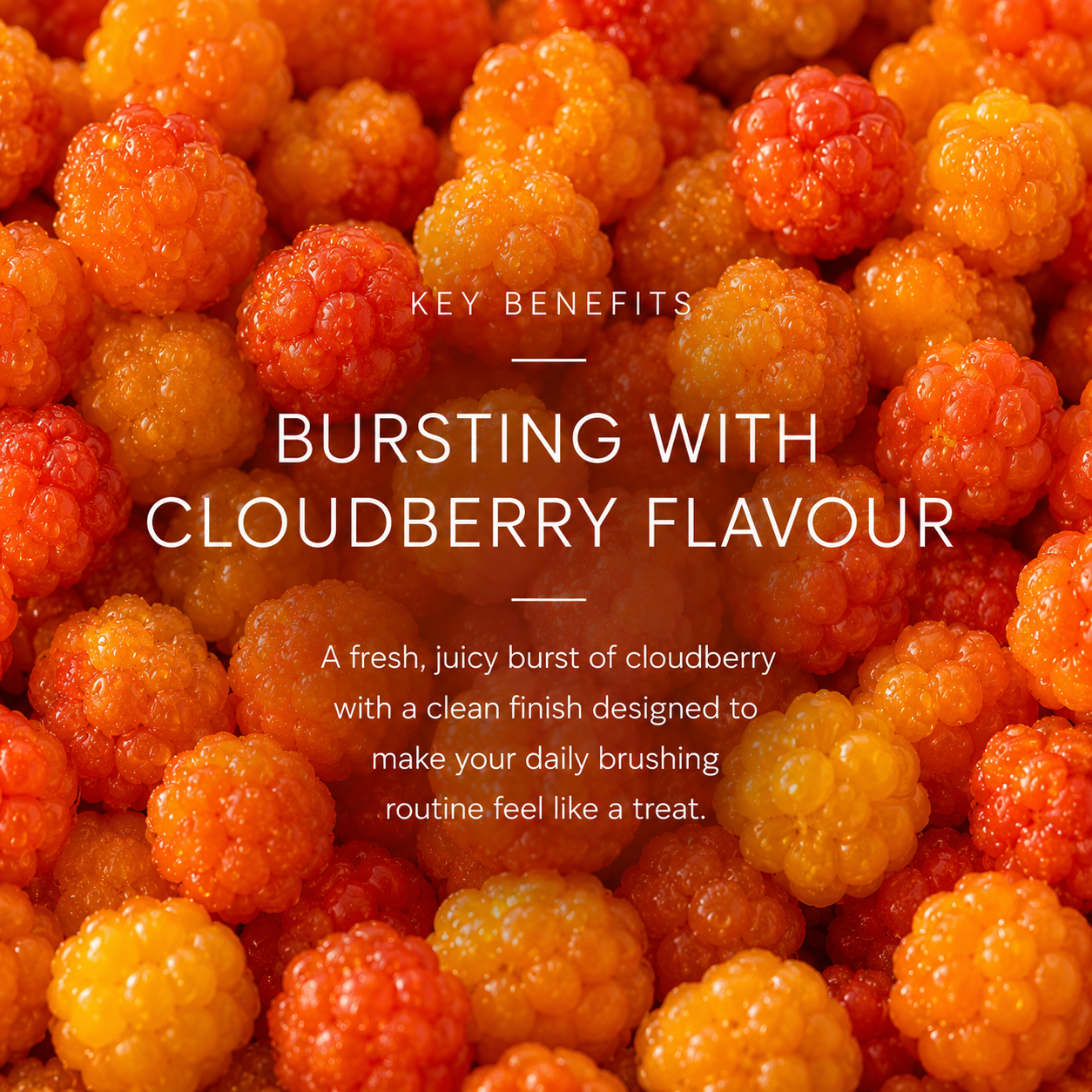 Cloudberry + Mint Toothpaste