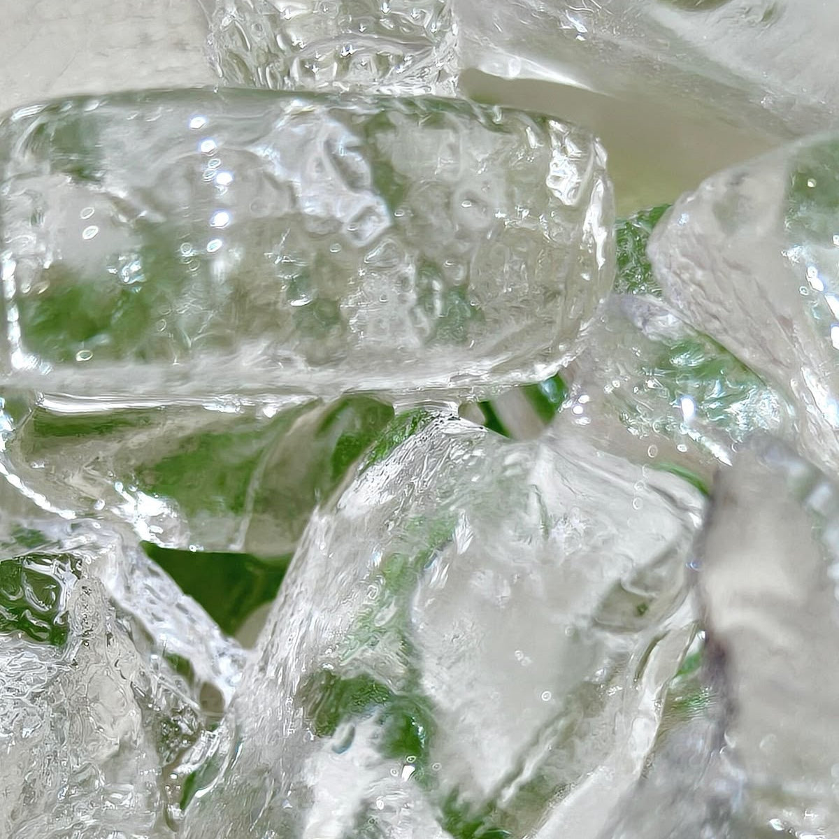 Mint Dental Floss